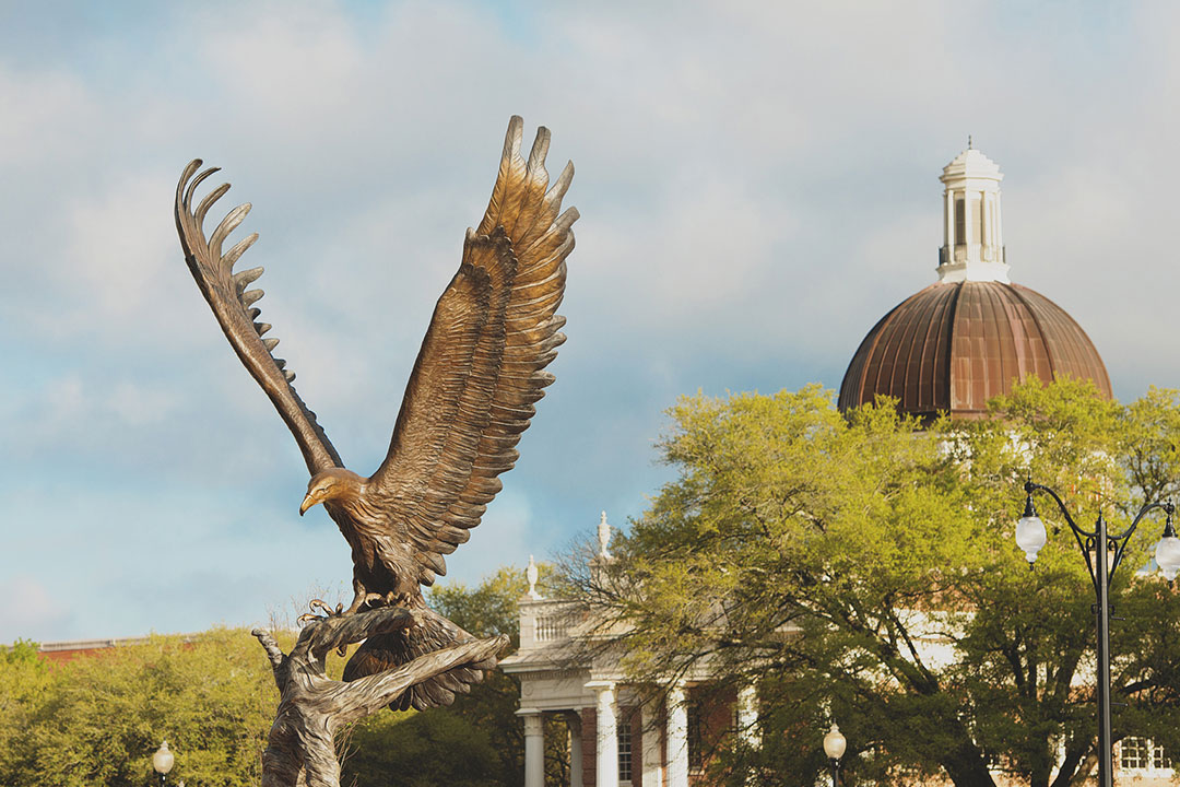 Southern Miss Lofty