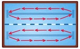 Circle Swimming Diagram