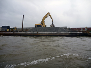 oyster reef restoration