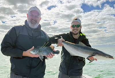 tripletail and cobia