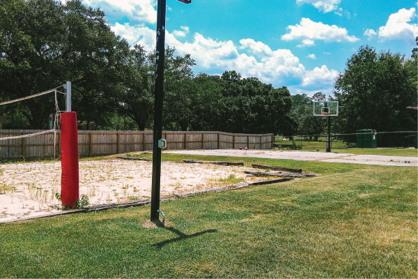 Volleyball and Basketball