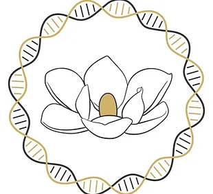 The Mississippi IDeA Network of Biomedical Research Excellence (INBRE)