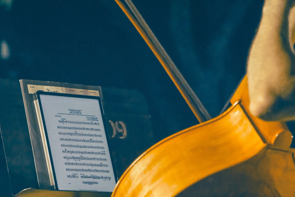 Pops in the Park Violin