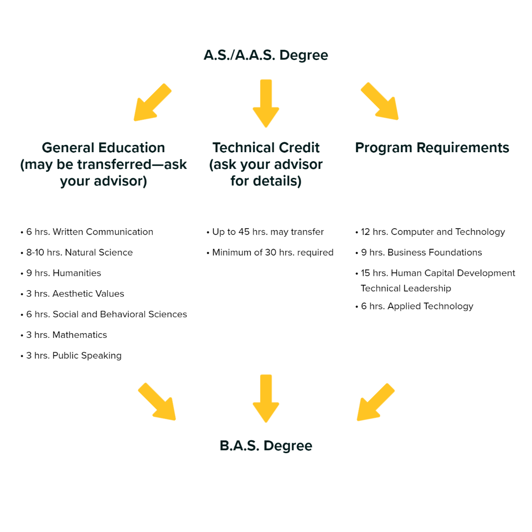 program pathway working adults