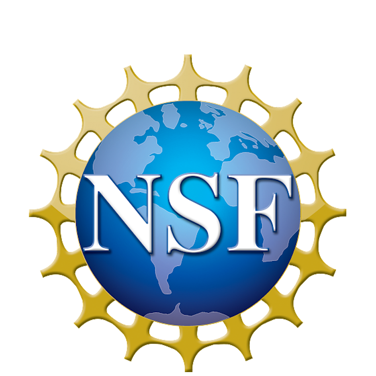 NSF REU