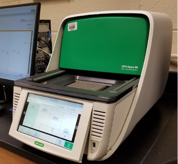 An image of the CFX Opus 96 PCR system