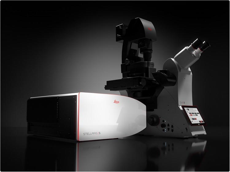 The Leica STELLARIS STED Super-Resolution Confocal Microscope 