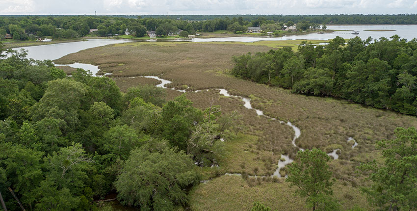 Outside Landscape