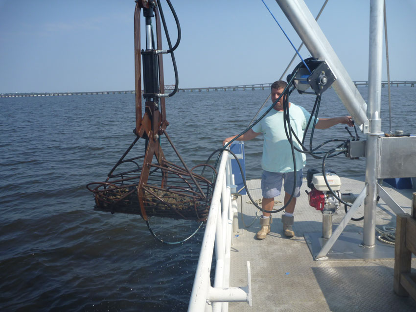 Oyster Reef Restoration