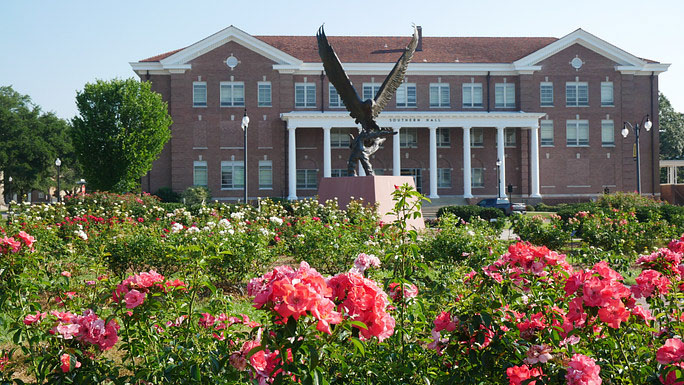 USM Logo