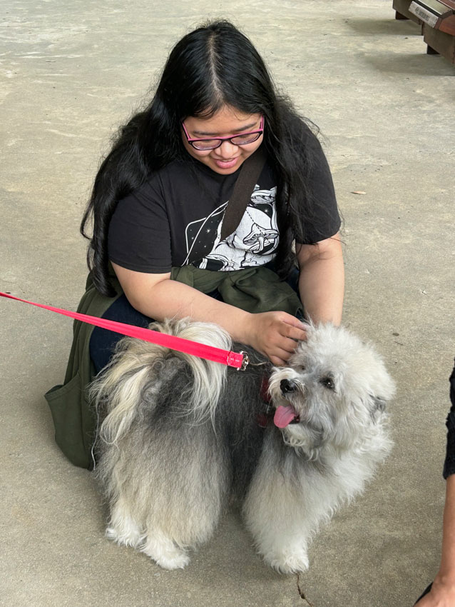 Therapy Dogs