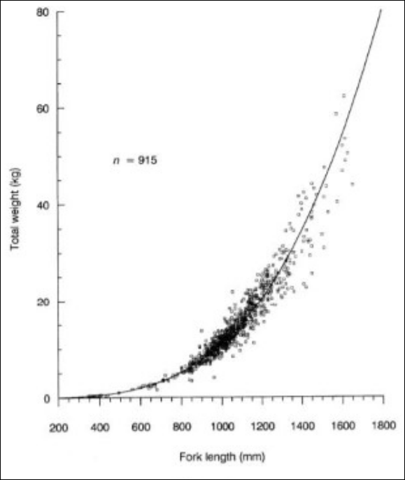 cobia weight and height