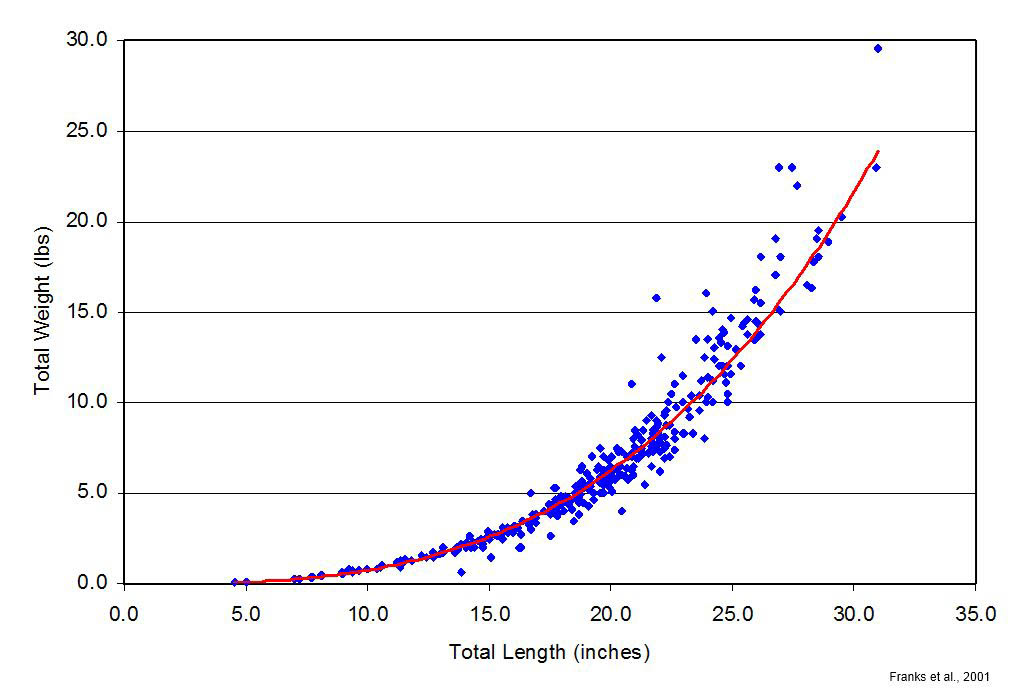 tripletail length-weight