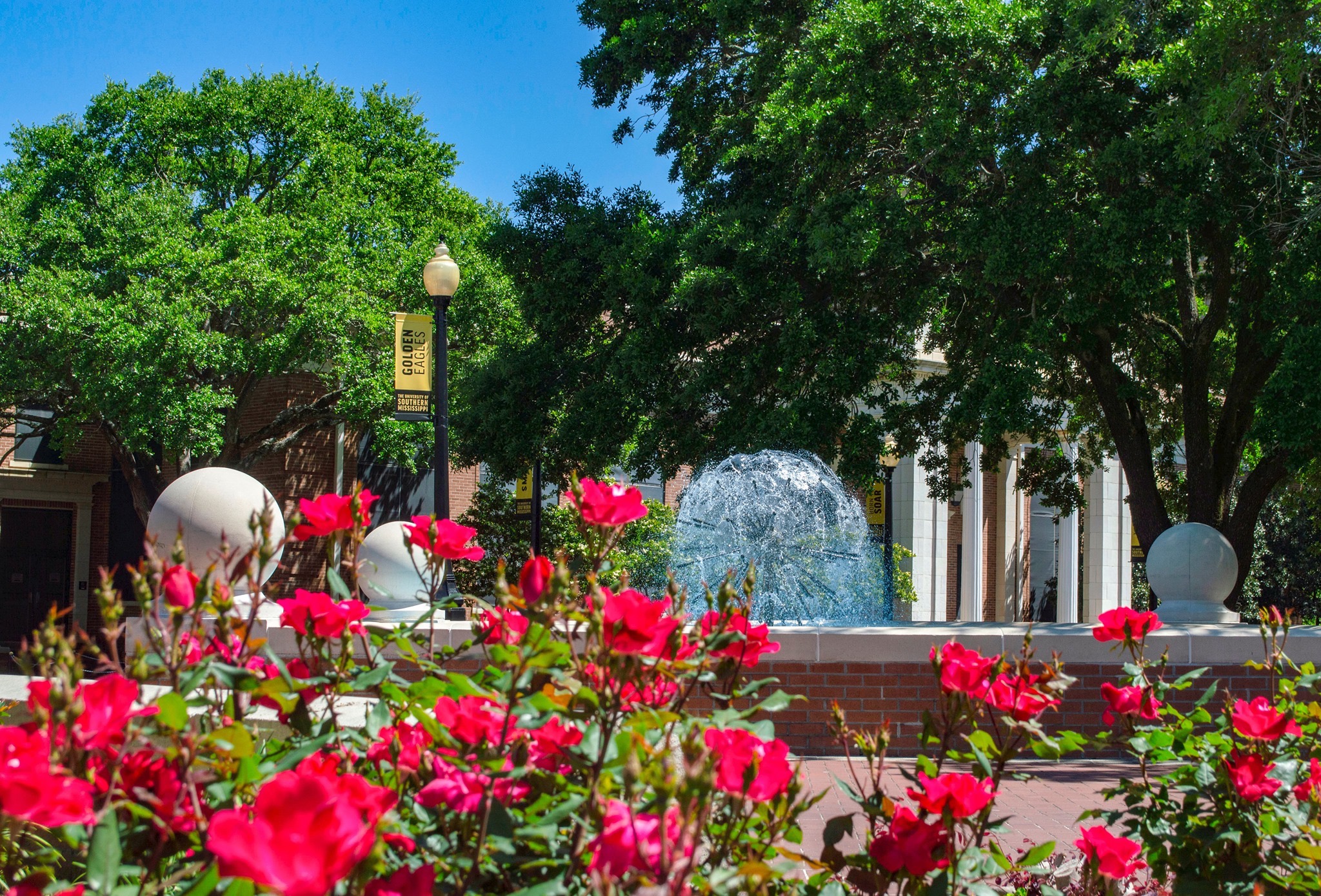 Fountain Flowers